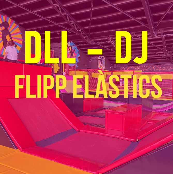 2.-FLIP ELÀSTICS/ XARXES  DLL-DJ